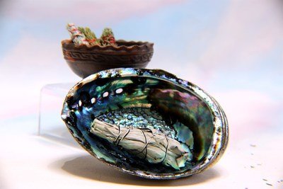 Incense Burner Abalone Shell Bowls